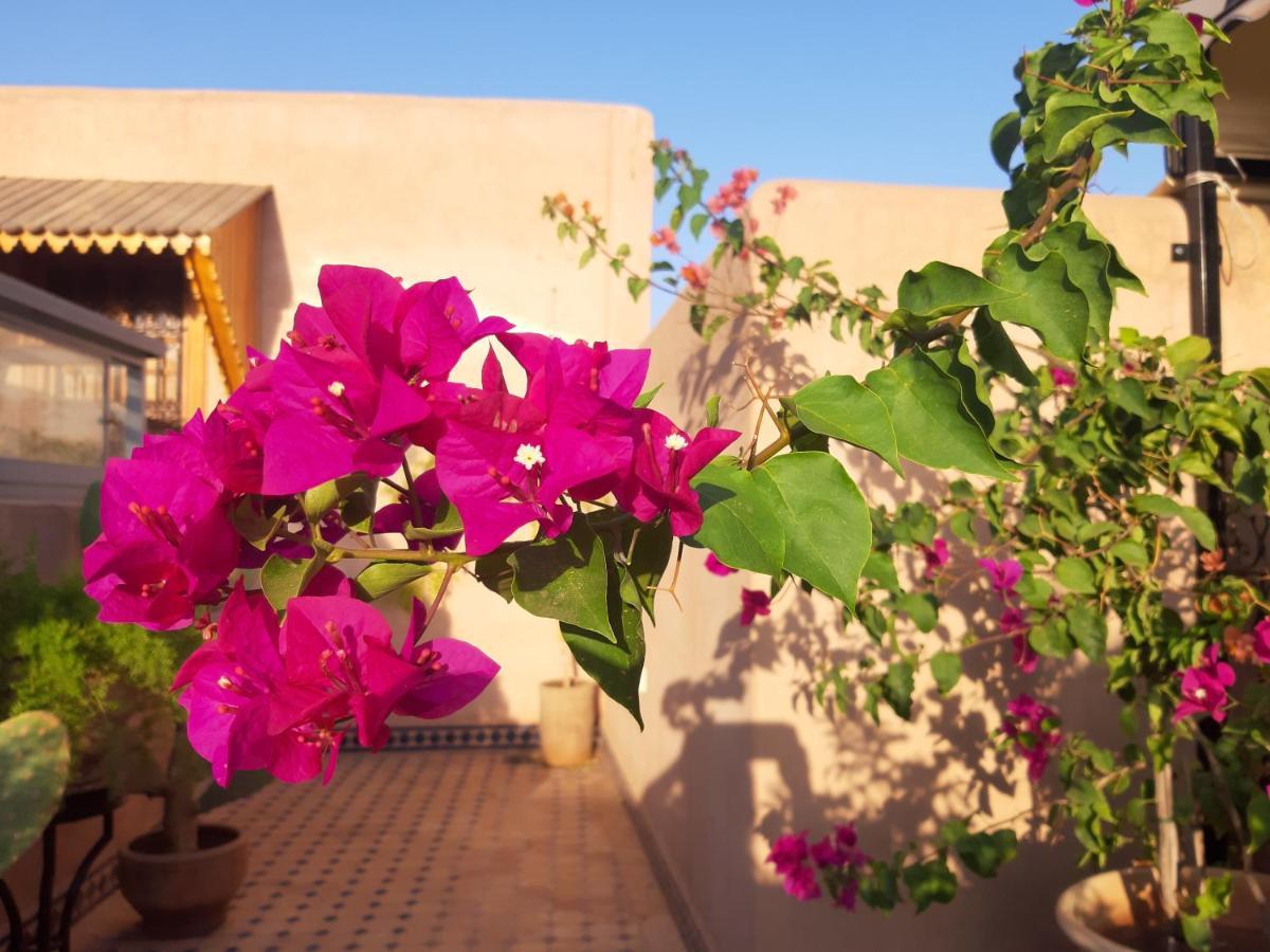 מרקש Riad Miral מראה חיצוני תמונה